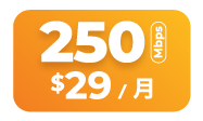 500MbpsMbps Plan